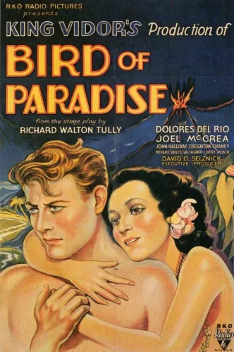 Bird of Paradise