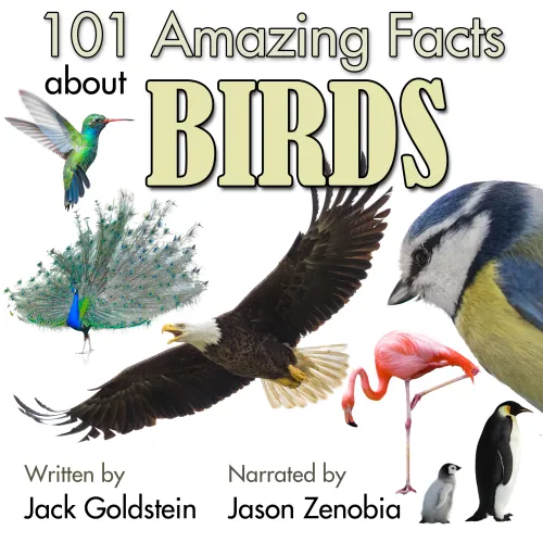 Birds Facts