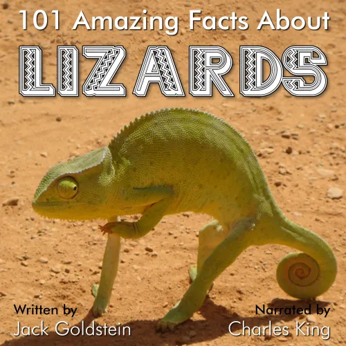 Lizards
