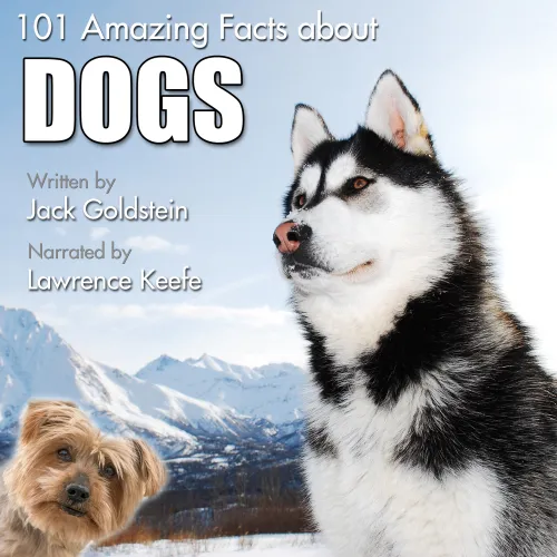 Dogs